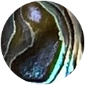 Nacre d’abalone – collection de pendentifs en bois et pierres fines.