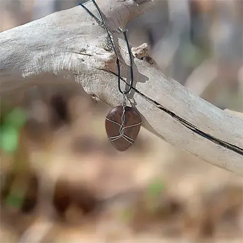 Pendentif Étreinte d’Acier en noyer et fil d’acier inoxydable 316L, suspendu par son cordon noir à une branche de bois flotté.